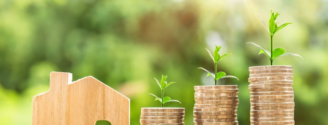 Investment Return